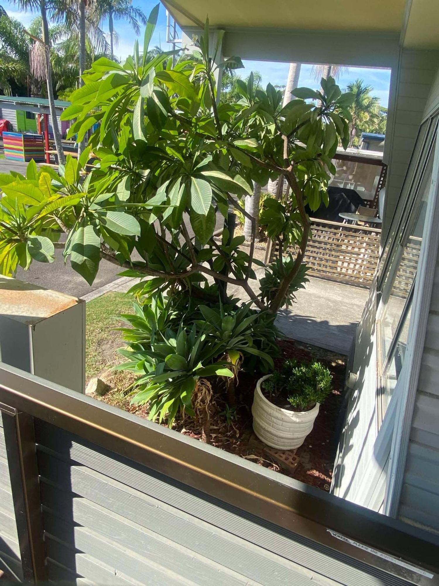 Sussex Palms Holiday Park 苏塞克斯入口 外观 照片